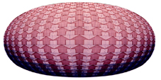 coloration trame